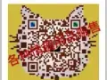 秒加微信震惊！ 新加坡官方正品杜蕾斯避孕套专卖上线啦!  还有避孕药 怀孕检测卡