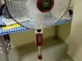 九成新风扇带遥控器 $15新便宜转让