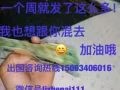 此广告长期有效、诚信为本、道德为荣