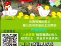 厌倦朝九晚五工作吗? 你在找寻机会吗?想摆脱穷忙族吗？免费询问