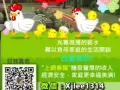 厌倦朝九晚五工作吗? 你在找寻机会吗?想摆脱穷忙族吗？免费询问