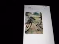 达曼裕廊