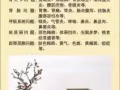 艾灸养生--艾艾贴，在家就可以做的艾灸。