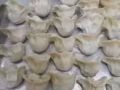手工东北饺子