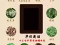 华佗藏贴 一贴见效