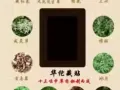 华佗藏贴 一贴见效
