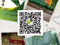 东革阿里咖啡 原片专卖  电话83028963