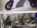 避孕套批发店