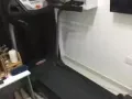 花拉公园二手跑步机搬家出售
