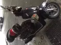 因回国爱车卖