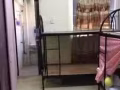 金文泰大牌449