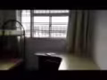 义顺普通房出租