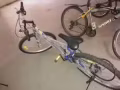 回国  自行车低价出售