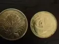 1970年1981年新加坡硬币各一枚