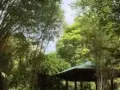 武吉班让670505，5A整套出租，新装修，屋主是画家，房子很漂亮，全家私电器，