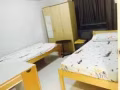 文礼公寓式租屋普通房出租