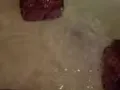 私房燕窝