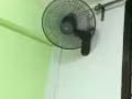 联邦地铁站附近普通房出租