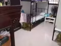 红帽桥有房屋出租，步行5分钟到达地铁站