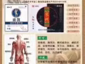 盛凯膏药贴，由新加坡金牌小月凤代理出售，联系电话83436309