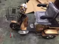 老人電動三輪車