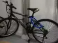 便宜卖，好骑的自行车，65先到先得