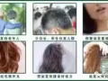 卖南烛叶染发剂,我的微信号：xu141219备注:南烛叶