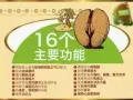 Double Coconut 双椰子