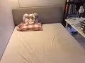 軟布包床架