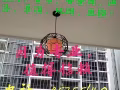 专业装修店面，贴纸，油漆，家具组装，价格低，修理电话85755640