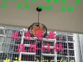 专业装修店面，贴纸，油漆，家具组装，价格低，修理电话85755640