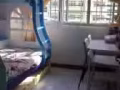 榜鹅地铁站，短期普通房出租。