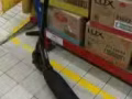 二手电动滑板车