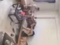 男床位出租 可報地址