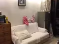 近Bukit panjang plaza 安静 干净普通房出租 
