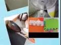 低价转让家居用品