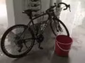 二手公路車