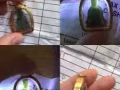 老坑玉观音，外包金壳，非常美