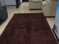 99.99新地毯