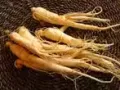 中国长白山特产 人参 鹿茸 山野菜 代购 中国长白山发货 微信a11200898