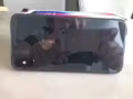 I phone x