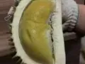 榴莲 水果之王