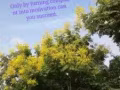 免费?口语两个月培训，点击进入