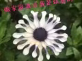 专门做公寓和洋房家庭清洁，首次做五折10/小时，三个小时起