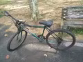 回國，處理自行車