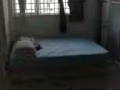 大普通房出租