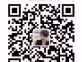 新加坡大成中介公司招聘费用低
