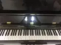 Hyundai 钢琴，只售600元可商。联络98565947房女士
