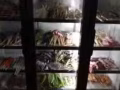 求职换工作