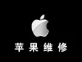 ♚中国人专业维修苹果手机屏幕15元♚原装屏幕电池♚全岛最低质量最好♚